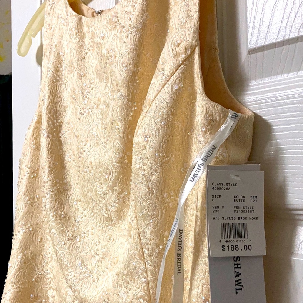 David’s Bridal , floor length size 8 dress, beaded bodice, chiffon skirt